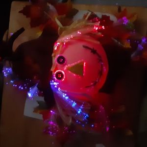 COPY - Fiber Optic Scarecrow.